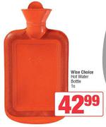 Wise Choice Hot Water Bottle-1s Each