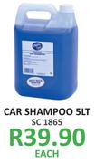 Car Shampoo-5Lt Each