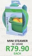 Mini Steamer-Each