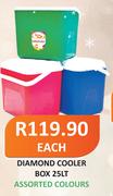 Diamond 25Lt Cooler Box-Each