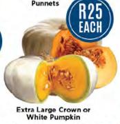 Extra Large Crown Or White Pumpkin-Each