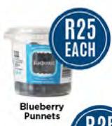 Blueberry Punnets-Each