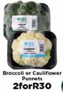 Broccoli Or Cauliflower Punnets-For 2