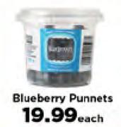 Blueberry Punnets-Each