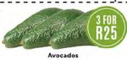 Avocados-For 3