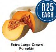 Extra Large Crown Pumpkin-Each