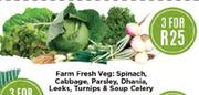 Farm Fresh Veg Spinach, Cabbage, Parsley, Dhania, Leeks, Turnips & Soup Celery-For 3