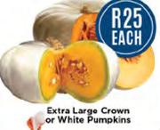 Extra large Crown Or White Pumpkins-Each