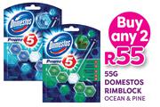 Domestos Rim Block Ocean & Pine-For 2 x 55g