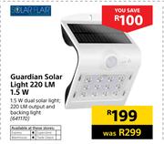 Solar Flair Guardian Solar Light 220 LM 1.5W