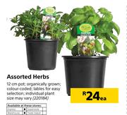 Assorted Herbs-Each