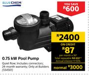 Blue Chem 0.75KW Pool Pump