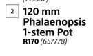 Flora 120mm Phalaenopsis 1 Stem Pot