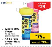Poolbrite Month Mate Floater Each