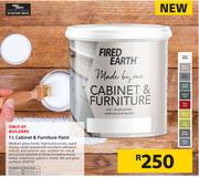Special Fired Earth Cabinet Furniture Paint 1Ltr m.guzzle .za