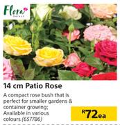 Flora 14cm Patio Rose-Each