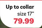 Student Prince Short-Sleeved Gladneck Shirts (Up To Collar Size 17")