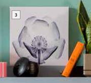 300mm x 300mm Flower Canvas