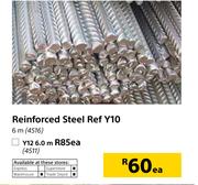 Reinforced Steel Ref Y10 6m-Each