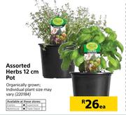 Assorted Herbs 12cm Pot-Each