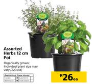 Herbs 12cm Pot-Each