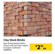 Clay Stock Brick-Each