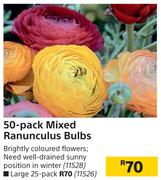 Large 25 Pack Mixed Ranunculus Bulbs
