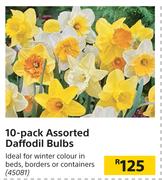 10 Pack Assorted Daffodil Bulbs