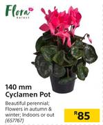 Flora 140mm Cyclamen Pot
