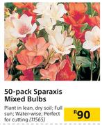50 Pack Sparaxis Mixed Bulbs