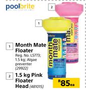 Pool Brite Month Mate Floater-Each
