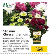 Flora 140mm Chrysanthemum