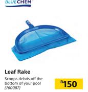 Blue Chem Leaf Rake
