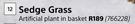 Sedge Grass