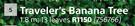 Traveler's Banana Tree 1.8m
