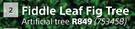 Fiddle Leaf Fig Tree