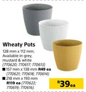 Wheaty Pots-218mm x 193mm Each