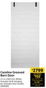 Caroline Grooved Barn Door