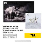 Star Fish Canvas 30cm x 30cm