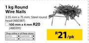 1Kg Round Wire Nails 100mm x 4mm