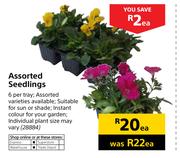 Assorted Seedlings-Each