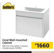 Builders Coral Wall- Mounted Cabinet