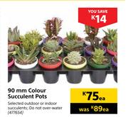 90mm Colour Succulent Pots-Each