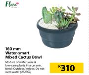 Flora 160mm Water Smart Mixed Cactus Bowl