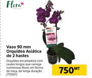 Flora vaso 90mm Orquidea Asiatica de 2 Hastes
