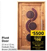 Pivot Door 653669