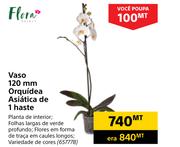 Flora Vaso 120mm Orquidea Asiatica de 1 haste