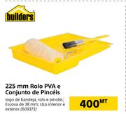 Builders 225mm Rolo PVA e Conjunto de Pinceis
