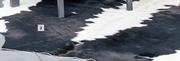 Nguni Cow Hide Rug