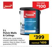 Plascon Polvin Walls & Ceilings-5L